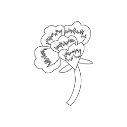 모란문(74835)