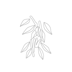 잎사귀문(32006)