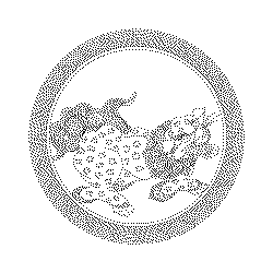 사자무늬채색바리(113986)