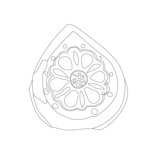 연화문수막새(24659)