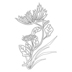 꽃문,잎사귀문(30807)