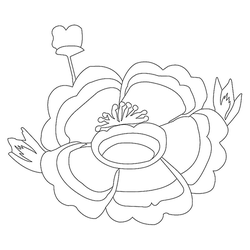 꽃문(76593)