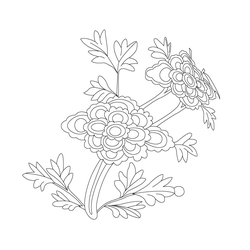 모란문(62708)