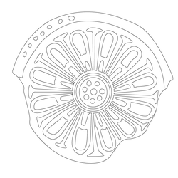 연화문수막새(50841)
