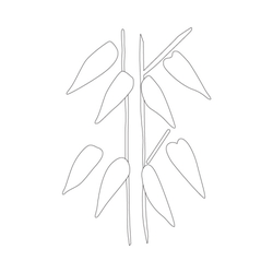 잎사귀문(32050)