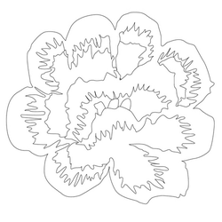 연꽃문(14628)