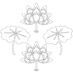 수귀주머니(114847)