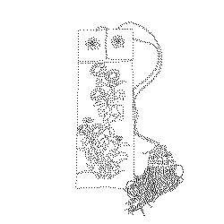 수저집(113447)