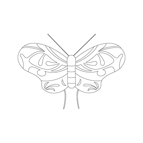 나비문(7628)