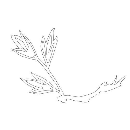 잎사귀문(14798)