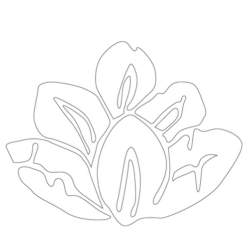 연꽃문(14619)