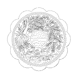 화형반(114682)