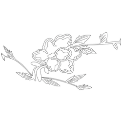 풀꽃문(33719)