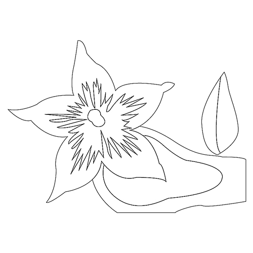 꽃문(74853)
