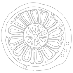 연꽃문 수막새(57845)