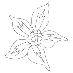 꽃문(75547)