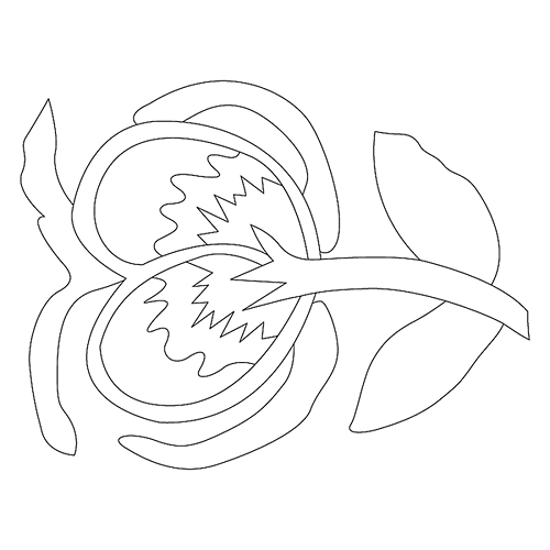 모란문(76864)