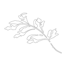 잎사귀문(14782)