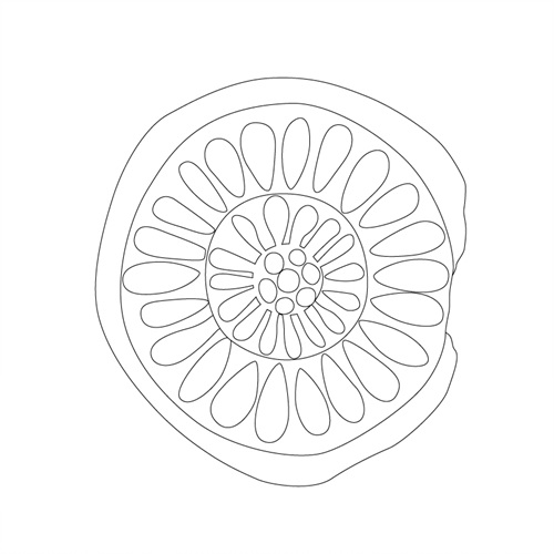 연꽃문(41264)