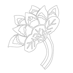 연꽃문(14383)