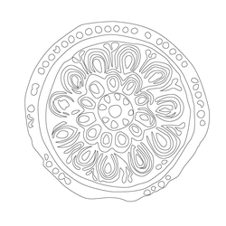 연화문수막새(51605)