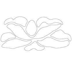 꽃문(71930)