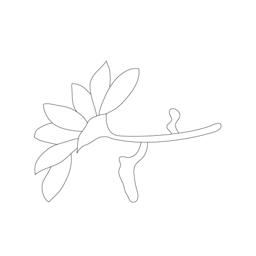 국화문(28158)