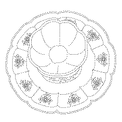 국화문(113591)