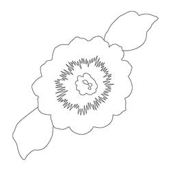 꽃문(76929)