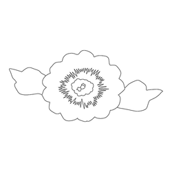 꽃문(76930)