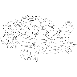 외삼문 수막새(100973)