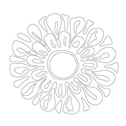 연꽃문(62901)
