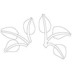 잎사귀문(34153)