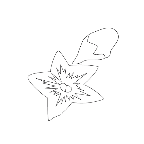 모란문(75353)