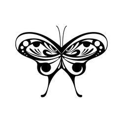 나비문(9728)