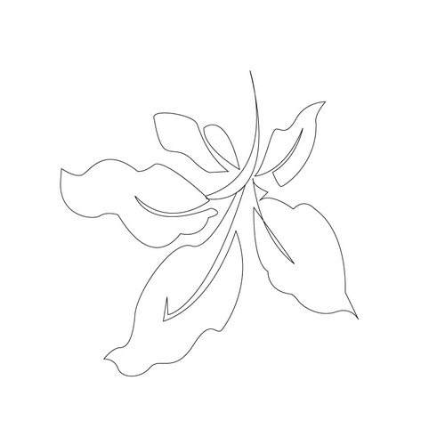 잎사귀문(21204)