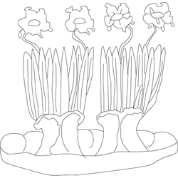 책장(4575)