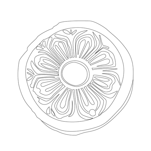 연화문수막새(51370)