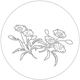 백자청화 풀꽃문 접시(58092)