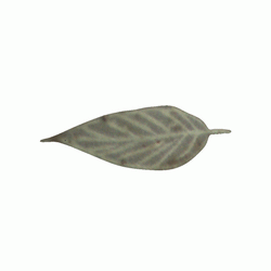 잎사귀문(8527)