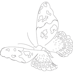 나비문(2016)