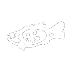 물고기문(81212)