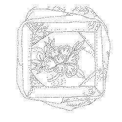 베갯모(113509)