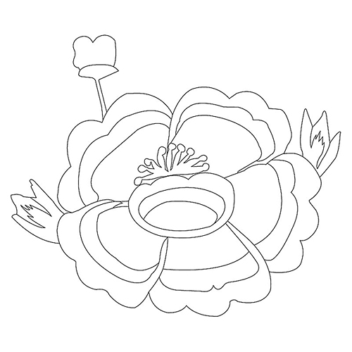 꽃문(76593)
