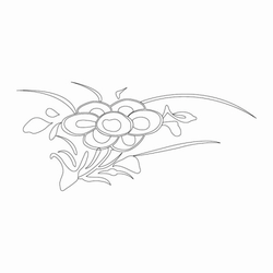 꽃문(29072)