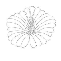 꽃문(70977)
