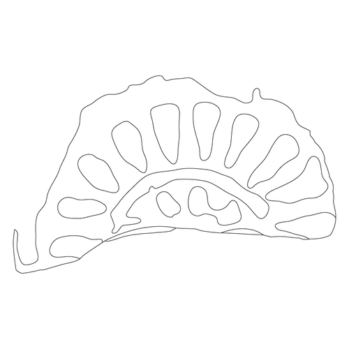 연꽃문(80947)