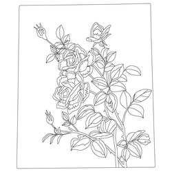 손자수(76387)