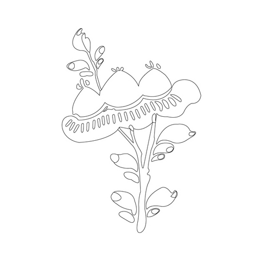 풀꽃문(20783)