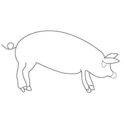 돼지문(20357)